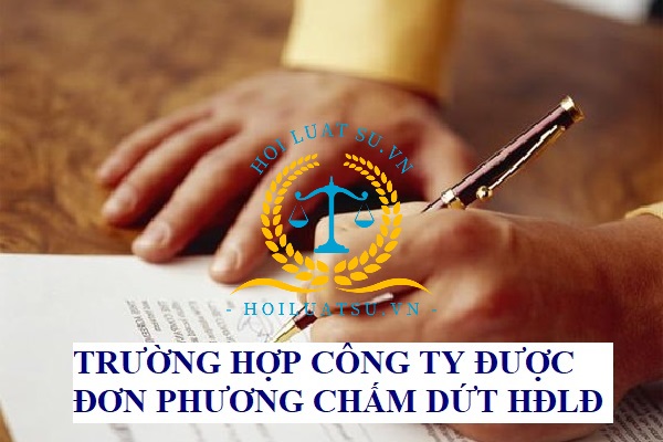 Công ty được đơn phương chấm dứt hợp đồng lao động